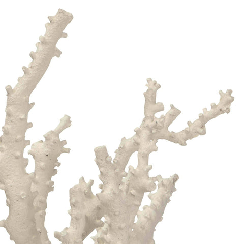 CARIBBEAN CORAL SCULPTURE IVORY