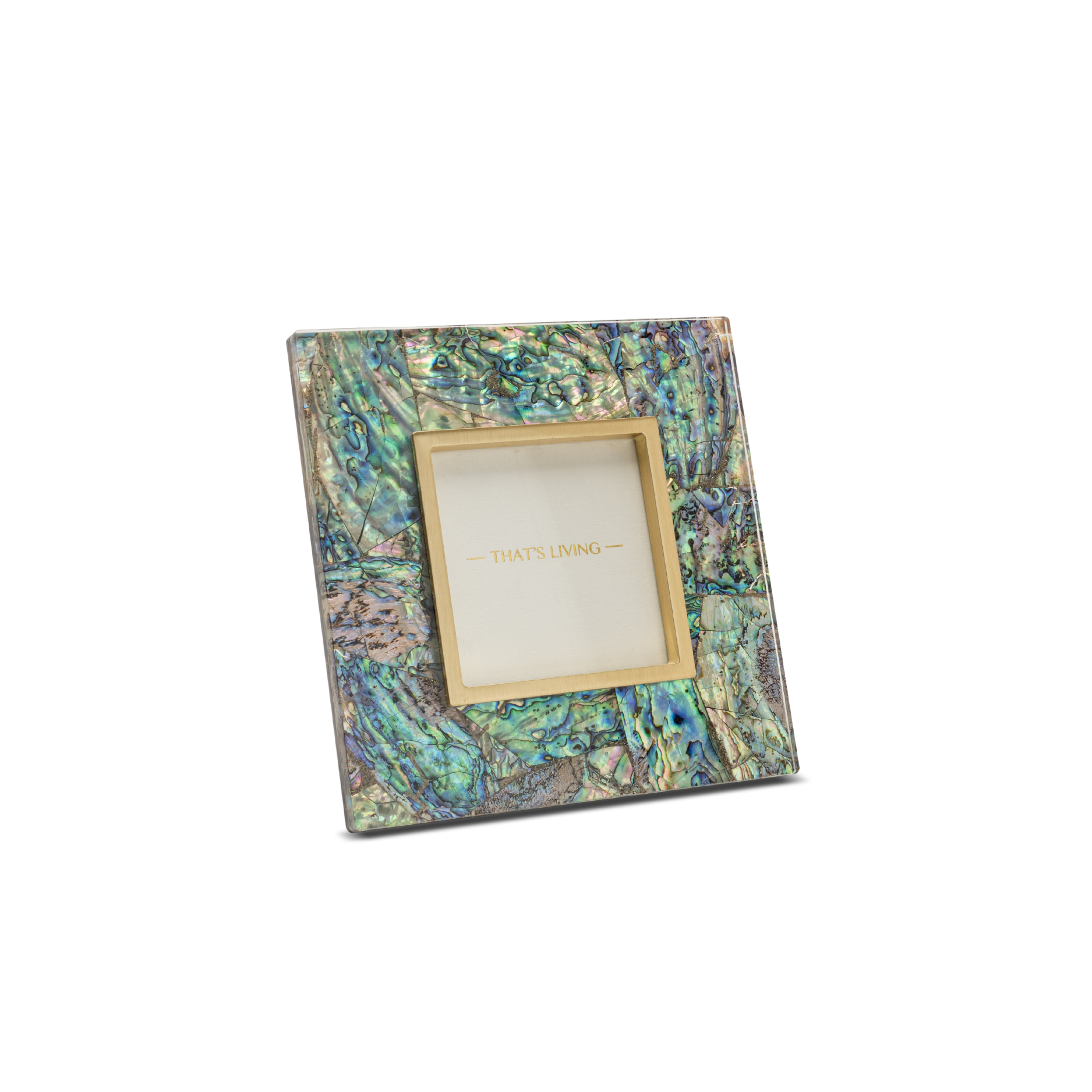 BRISA ABALONE 4" X 4" PHOTO FRAME