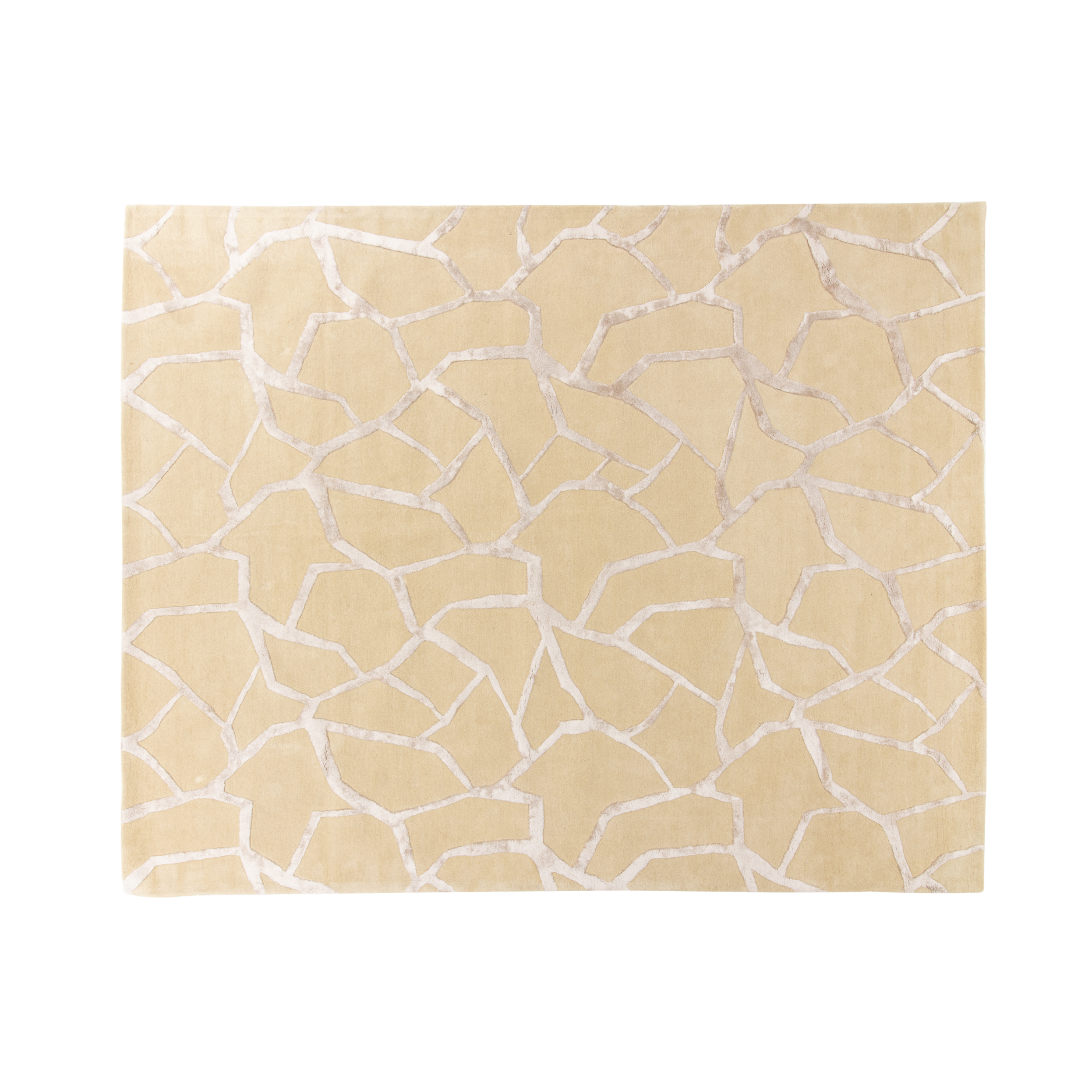 Shattered Beige Carpet